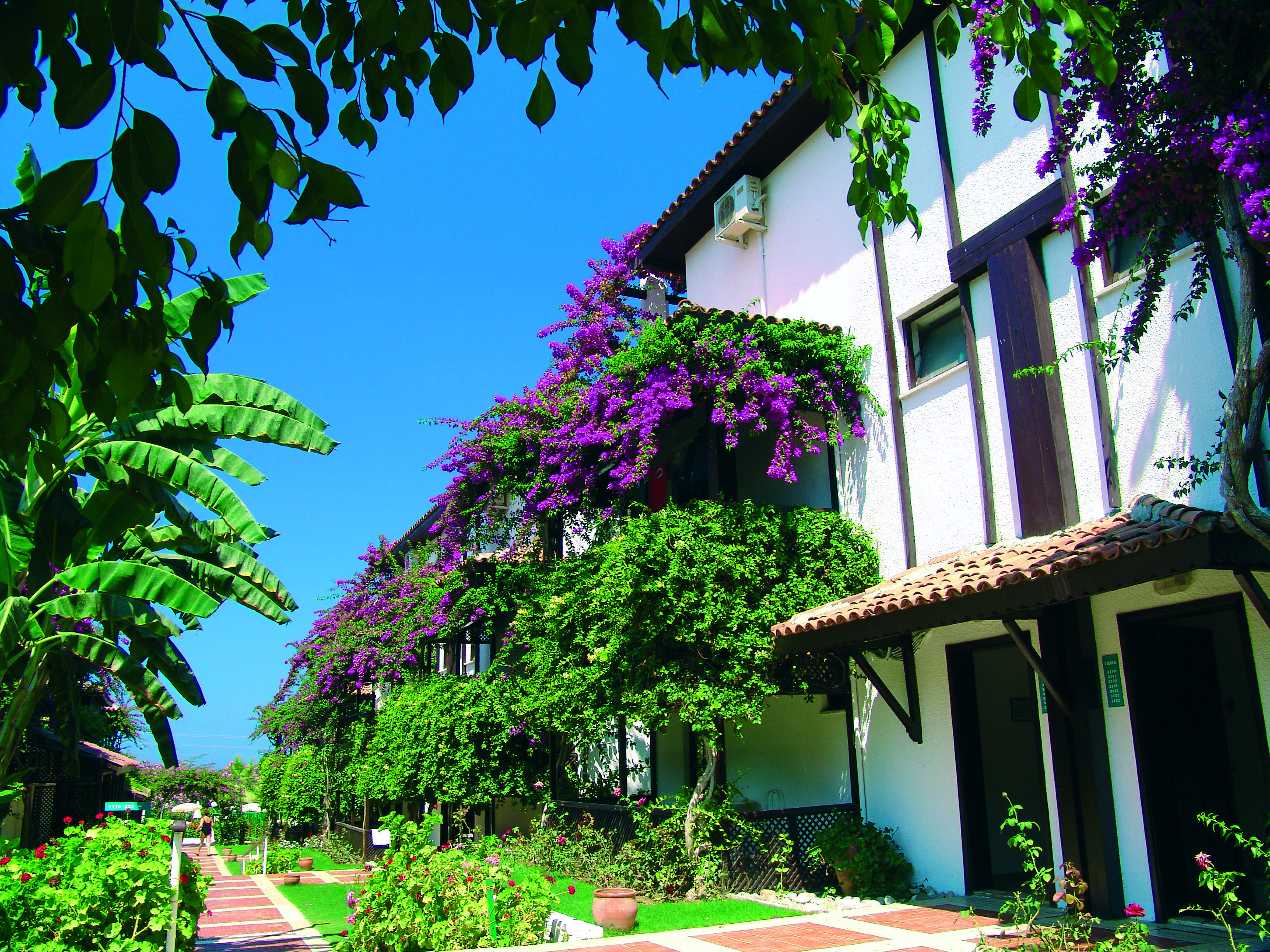 Titan Club Hotel Ultra All Inclusive Kargıcak Exterior foto