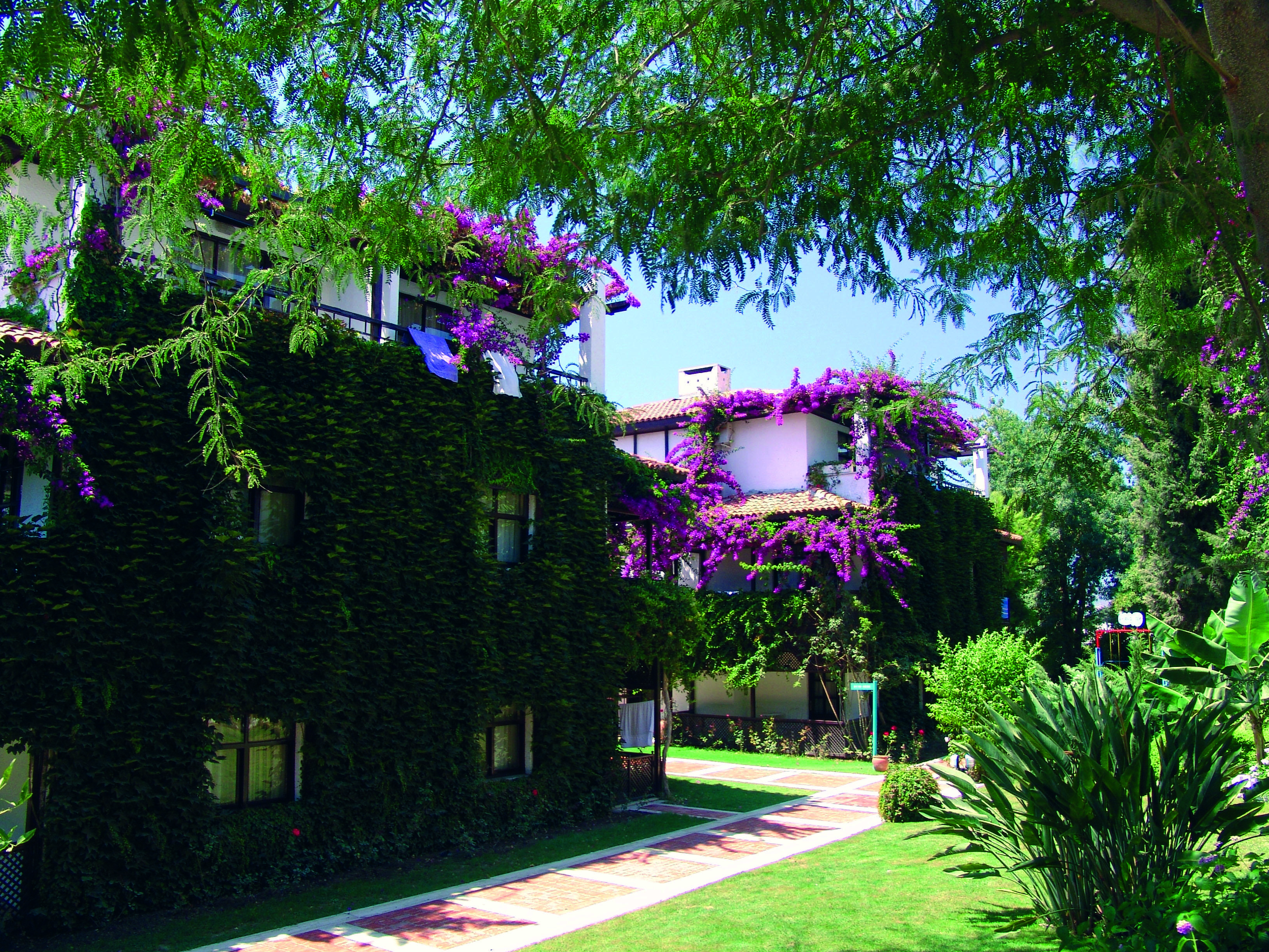 Titan Club Hotel Ultra All Inclusive Kargıcak Exterior foto